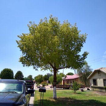 Bynum Tree and Landscape - Landscaping Near Me Bynum Tree and Landscape - Landscaping Near Me