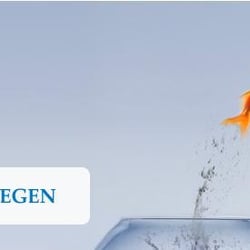 4k Personalberatung - Gemeinsam etwas mit der 4K Personalberatung bewegen
