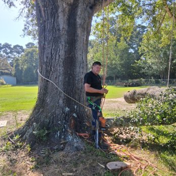 A Unity Tree Service - Just came down ready to cut - Tree Services Near Me - Lumberton, Texas