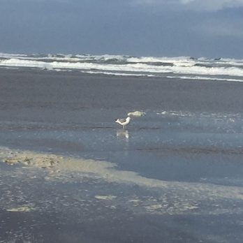 Nehalem Bay State Park - Campgrounds Near Me - Nehalem, Oregon Nehalem Bay State Park - Campgrounds Near Me - Nehalem, Oregon