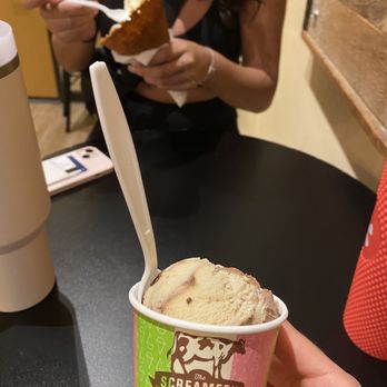 Screamery Ice Cream - small size perfect after dinner - Ice Cream & Frozen Yogurt Near Me - Tucson, Arizona
