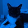 Photo of Paw Adventures