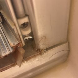 Adalicia's House cleaning - She left the shower filthy