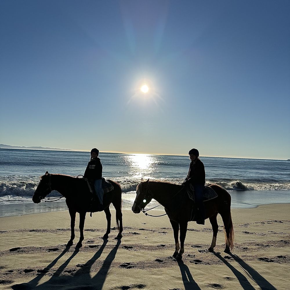TOP 10 BEST Horseback Riding on Beach in Santa Barbara, CA - Updated 2026 -  Yelp, image size:1000x1000