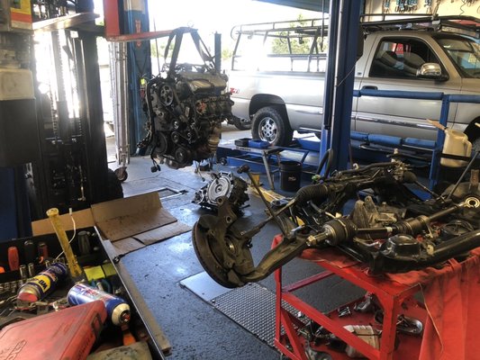 Nissan Hayward, CA - Last Updated October 2025 - Yelp