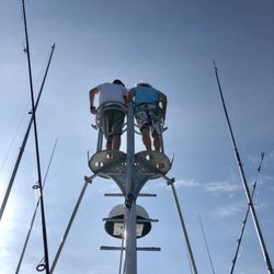 Sea Turtle Dive Charters - ‍