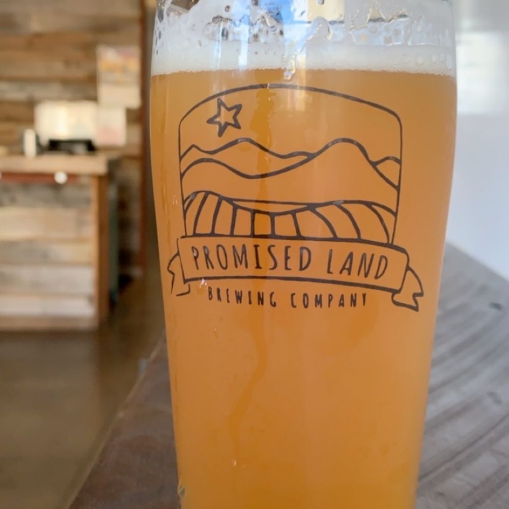 Promised Land Brewing Company - Hazy DIPA - Breweries Near Me - Gilroy, California Promised Land Brewing Company - Hazy DIPA - Breweries Near Me - Gilroy, California