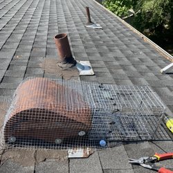 Mr.Pro Pest Patrol - One way raccoon exclusion installation