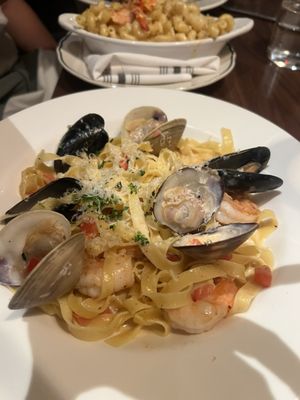 Skipjack Oyster by null