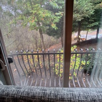 El Colibri Hotel & Spa - View - Hotels Near Me - Cambria, California El Colibri Hotel & Spa - View - Hotels Near Me - Cambria, California