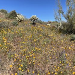 Beautiful day. Awesome hikers and horse riders. Wish the cyclists realize we ( runners, walkers, horses) have few right away.