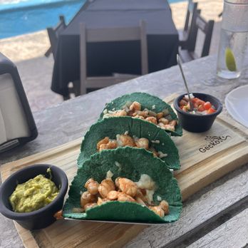 Tiny Gecko - Shrimp tacos - Bars Near Me - Isla Mujeres, ROO Tiny Gecko - Shrimp tacos - Bars Near Me - Isla Mujeres, ROO
