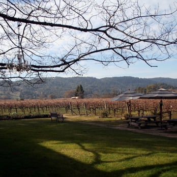 O'Brien Estate Winery - Some of the vines. - Wine Tasting Room Near Me - Napa, California O'Brien Estate Winery - Some of the vines. - Wine Tasting Room Near Me - Napa, California