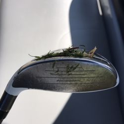 Wilson Golf Course
