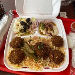Falafel Platter