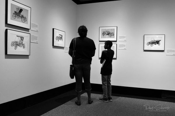 Haggin Museum by null