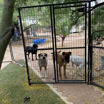 Como Pet Lodge - Dogs - Pet Boarding Near Me - Tucson, Arizona Como Pet Lodge - Dogs - Pet Boarding Near Me - Tucson, Arizona