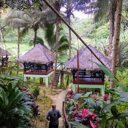 Kawasan Falls