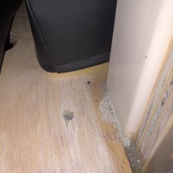 JO&JOE - Pubes and dirt next to black leather bed