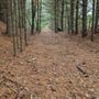 Photo of Trestle Trail