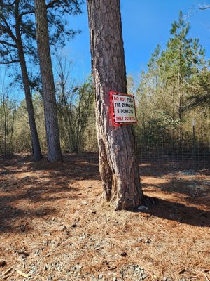 Aloha Safari Park by null