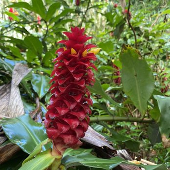 Hike Maui - Tours Near Me - Kahului, Hawaii