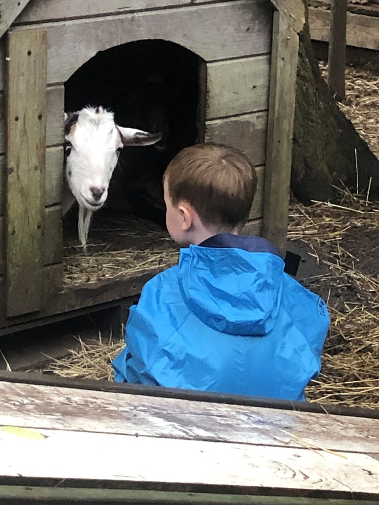 Adventures In Learning - childcare center in Ashland, MA