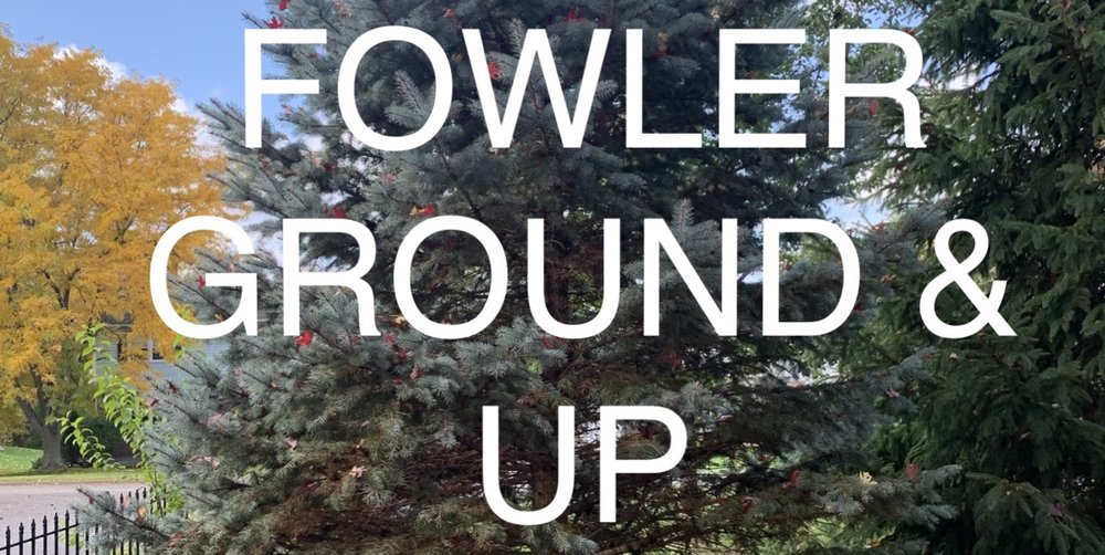 Fowler Ground & Up - tree service in Colonie, NY