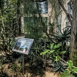 Atlanta Botanical Garden - At Atlanta Botanical Garden