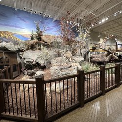 Bass Pro Shops