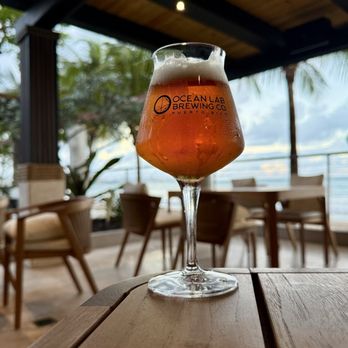 Ocean Lab Taproom - Hop Diver DIPA - Breweries Near Me - Carolina, Puerto Rico Ocean Lab Taproom - Hop Diver DIPA - Breweries Near Me - Carolina, Puerto Rico