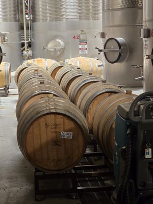 Callaway Vineyard & Winery by null