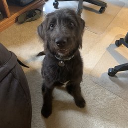 After haircut After haircut