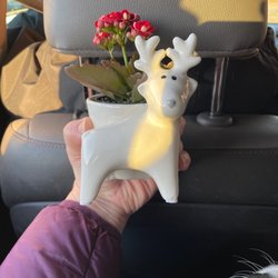 Giant Eagle - Cute festive planter I found @ this location.