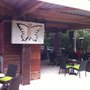 Photo of Butterfly Bar