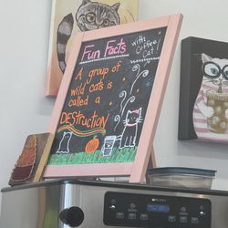 The Pawffee Shop Cat Cafe - Quick snap of inside shop