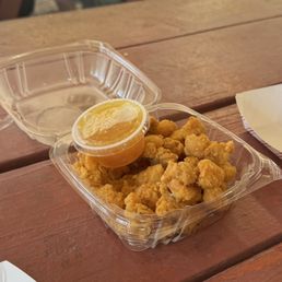 Gator Bites