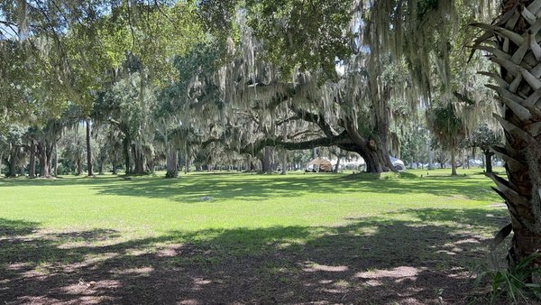 Fort Frederica National Monument by null