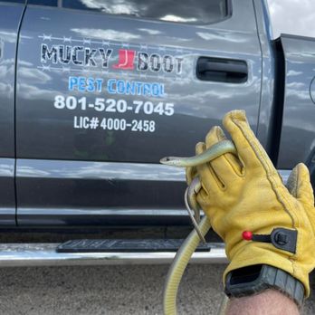 Mucky Boot Pest Control - Snake Removal - Pest Control Near Me - Eagle Mountain, Utah