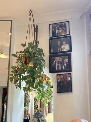 Signor Sassi by San Carlo - London by null