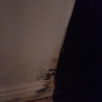 Mold Testing & Consulting - Mold on bathroom wall near vanity. - Environmental Testing Near Me Mold Testing & Consulting - Mold on bathroom wall near vanity. - Environmental Testing Near Me