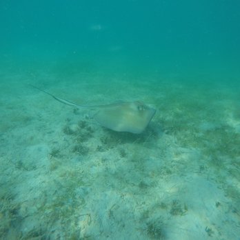 Maho Bay - Beaches Near Me - St John, Virgin Islands