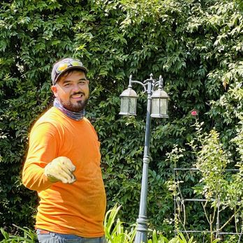 So Cal Pruners - Clemente walking the talk! - Tree Services Near Me So Cal Pruners - Clemente walking the talk! - Tree Services Near Me