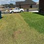 Photo of Grow Green Weed Control