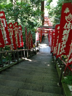 Sasuke Inari Shrine by null