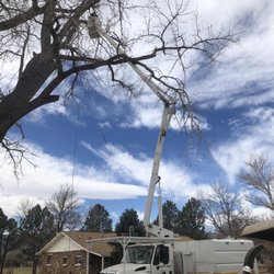 Levi the Tree Guy - Tending to broken branches after a storm