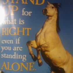 Little Burgundy Farm - A poster i saw on my first night of lessons... pretty much confirming i was in a totally awesome place
