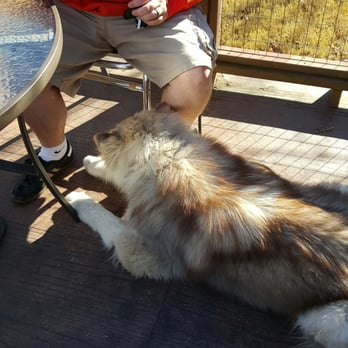 Baha Burger - Outside seating for the pup - Burgers Near Me - Hoover, Alabama