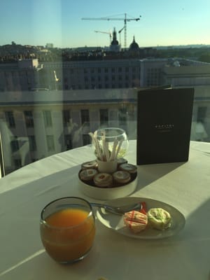 Sofitel Lyon Bellecour by null