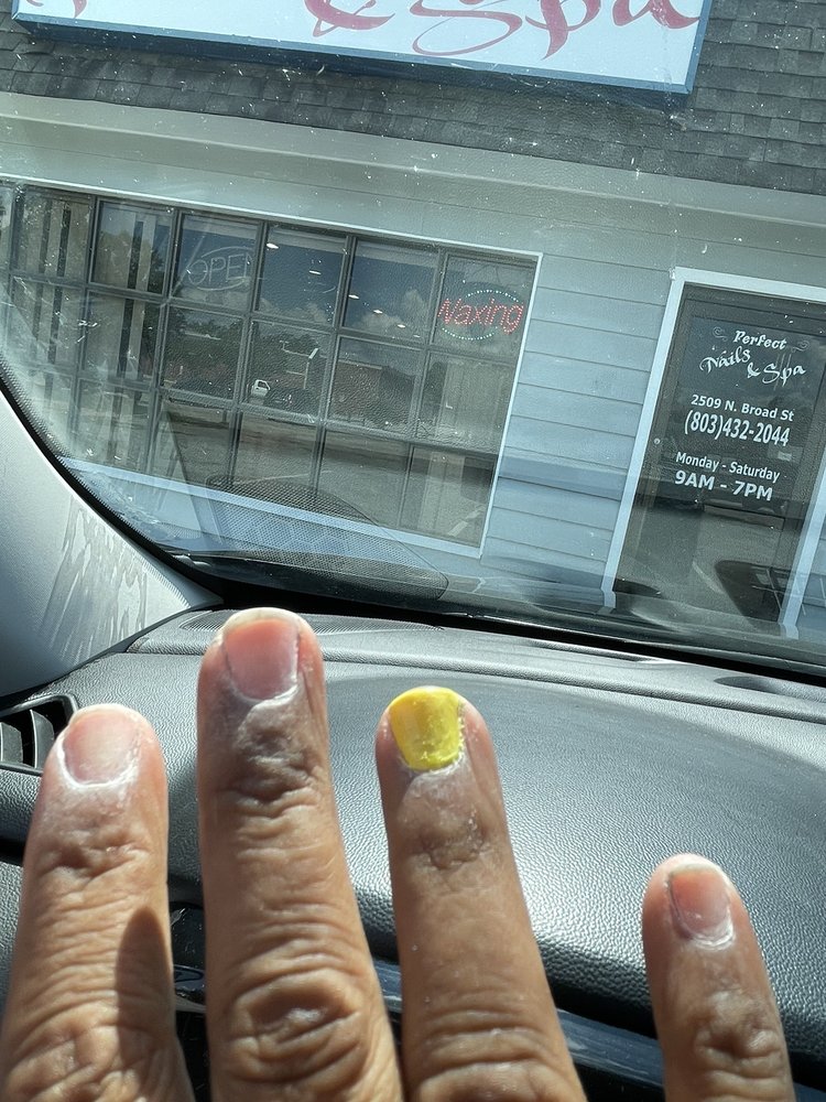 Perfect Nail & Spa Logo